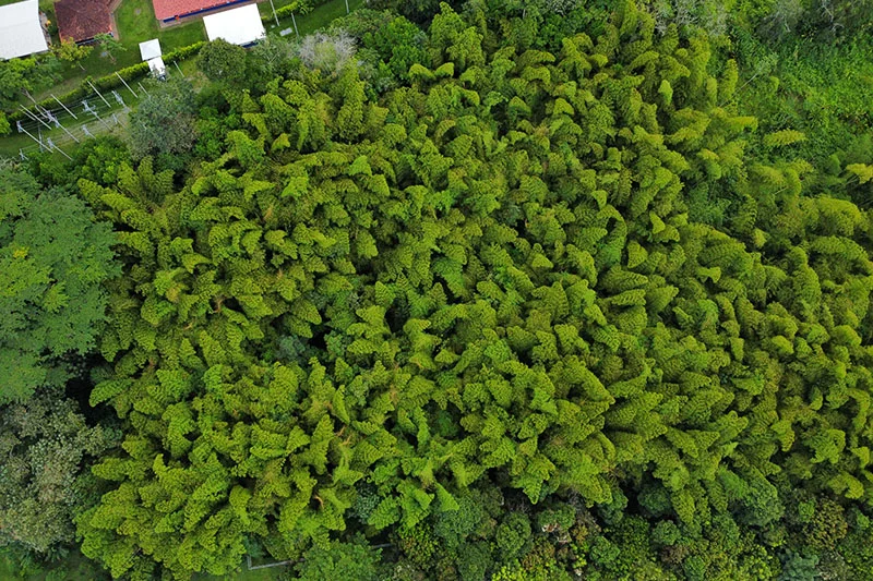 toma-aerea-parque-soleden-en-el-quindio